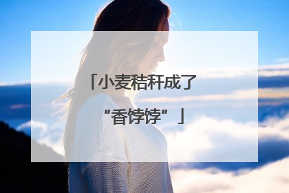 小麦秸秆成了“香饽饽”