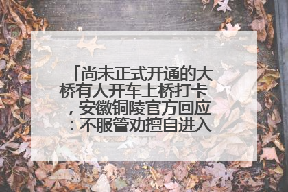 尚未正式开通的大桥有人开车上桥打卡，安徽铜陵官方回应：不服管劝擅自进入，已采取措施