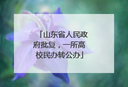 山东省人民政府批复，一所高校民办转公办