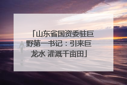 山东省国资委驻巨野第一书记：引来巨龙水 灌溉千亩田