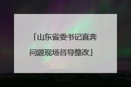 山东省委书记直奔问题现场督导整改