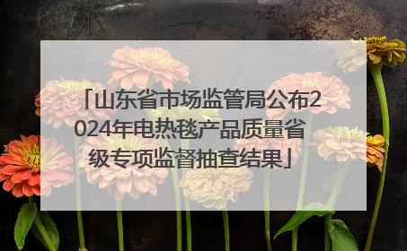山东省市场监管局公布2024年电热毯产品质量省级专项监督抽查结果