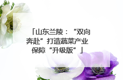 山东兰陵：“双向奔赴”打造蔬菜产业保障“升级版”