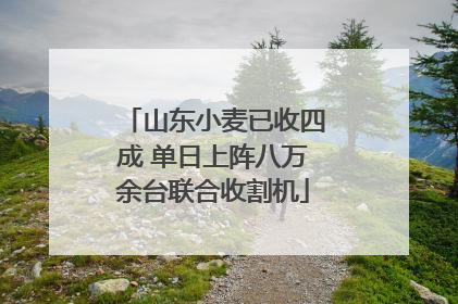 山东小麦已收四成 单日上阵八万余台联合收割机