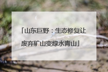 山东巨野：生态修复让废弃矿山变绿水青山