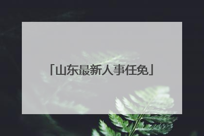 山东最新人事任免