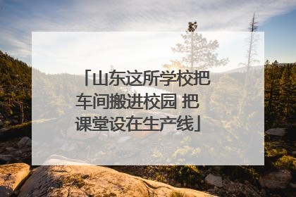 山东这所学校把车间搬进校园 把课堂设在生产线