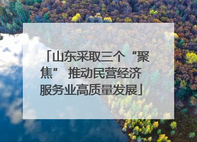 山东采取三个“聚焦” 推动民营经济服务业高质量发展