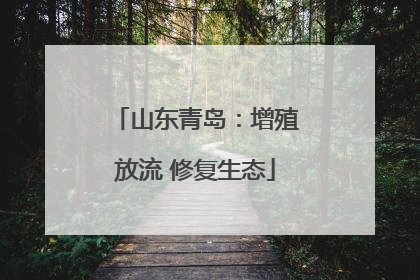 山东青岛：增殖放流 修复生态