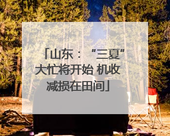 山东：“三夏”大忙将开始 机收减损在田间