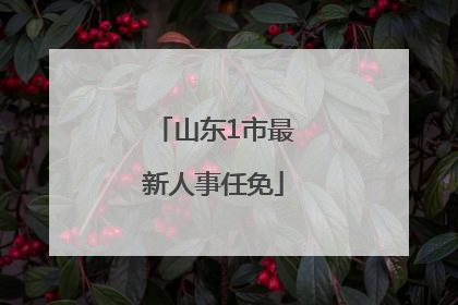 山东1市最新人事任免