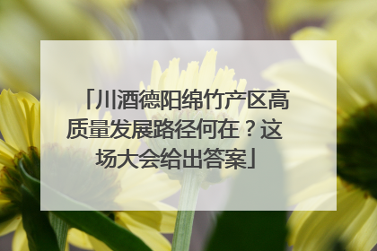 川酒德阳绵竹产区高质量发展路径何在？这场大会给出答案