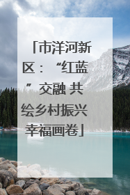 市洋河新区：“红蓝”交融 共绘乡村振兴幸福画卷