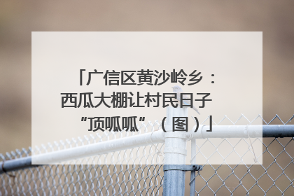 广信区黄沙岭乡：西瓜大棚让村民日子“顶呱呱”（图）