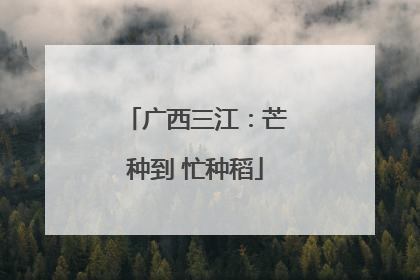 广西三江：芒种到 忙种稻