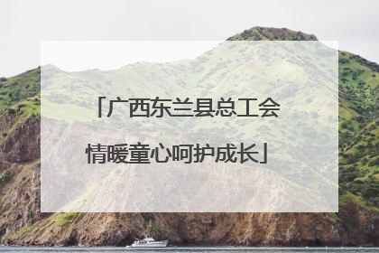 广西东兰县总工会情暖童心呵护成长