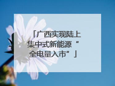 广西实现陆上集中式新能源“全电量入市”