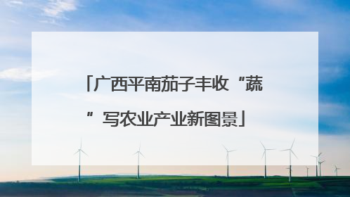 广西平南茄子丰收“蔬”写农业产业新图景