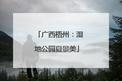 广西梧州：湿地公园夏景美