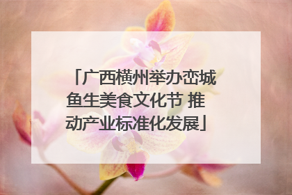 广西横州举办峦城鱼生美食文化节 推动产业标准化发展