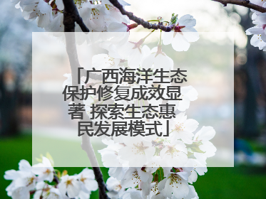 广西海洋生态保护修复成效显著 探索生态惠民发展模式