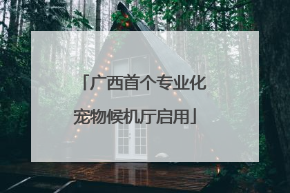 广西首个专业化宠物候机厅启用