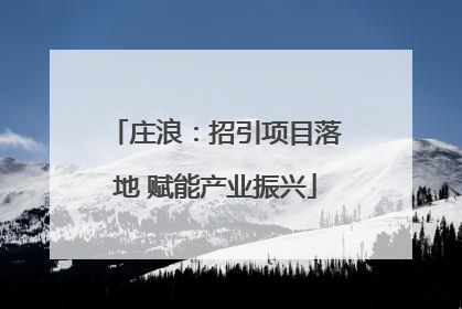 庄浪：招引项目落地 赋能产业振兴