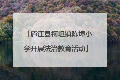 庐江县柯坦镇陈埠小学开展法治教育活动