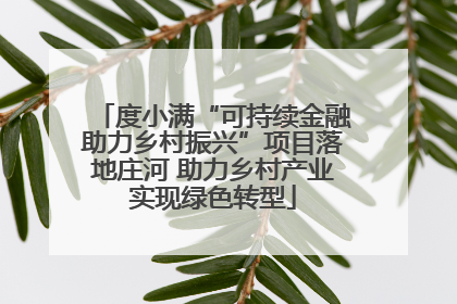 度小满“可持续金融助力乡村振兴”项目落地庄河 助力乡村产业实现绿色转型