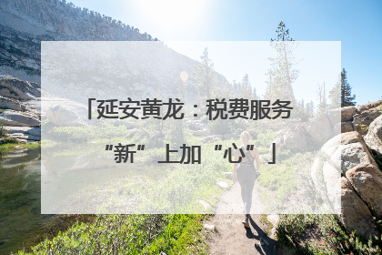 延安黄龙：税费服务“新”上加“心”