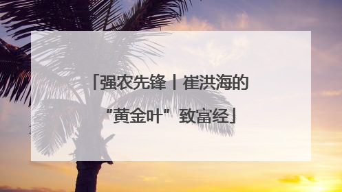 强农先锋丨崔洪海的“黄金叶”致富经