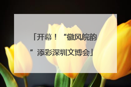 开幕！“徽风皖韵”添彩深圳文博会