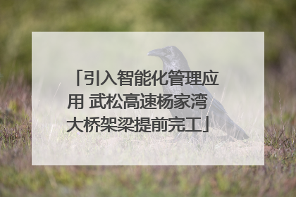 引入智能化管理应用 武松高速杨家湾大桥架梁提前完工