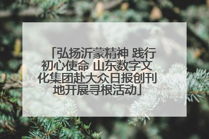 弘扬沂蒙精神 践行初心使命 山东数字文化集团赴大众日报创刊地开展寻根活动