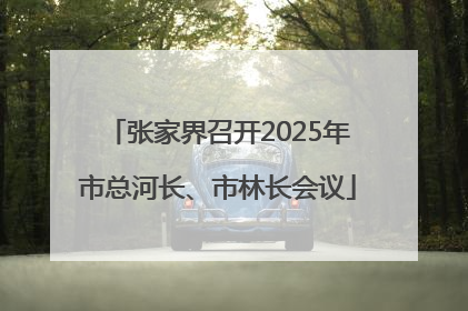 张家界召开2025年市总河长、市林长会议