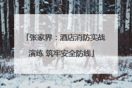 张家界：酒店消防实战演练 筑牢安全防线