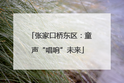 张家口桥东区：童声“唱响”未来