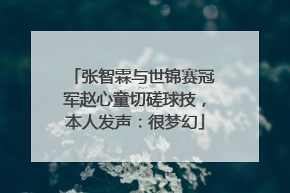 张智霖与世锦赛冠军赵心童切磋球技，本人发声：很梦幻