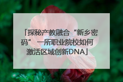 探秘产教融合“新乡密码” 一所职业院校如何激活区域创新DNA