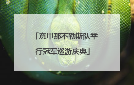 意甲那不勒斯队举行冠军巡游庆典