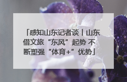 感知山东记者谈丨山东借文旅“东风”起势 不断塑强“体育+”优势