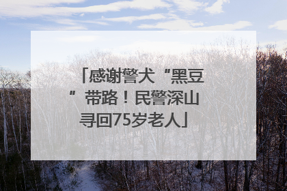 感谢警犬“黑豆”带路！民警深山寻回75岁老人