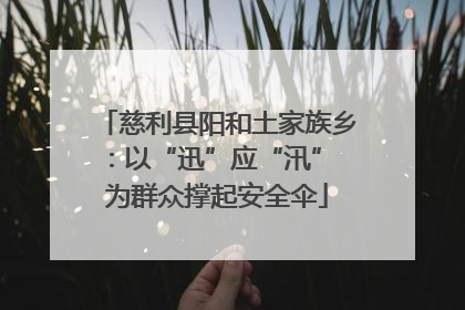 慈利县阳和土家族乡：以“迅”应“汛” 为群众撑起安全伞