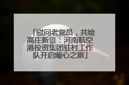 慰问老党员，共绘高庄新景：河南航空港投资集团驻村工作队开启暖心之旅