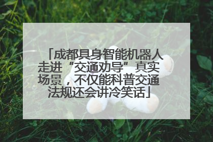 成都具身智能机器人走进“交通劝导”真实场景，不仅能科普交通法规还会讲冷笑话