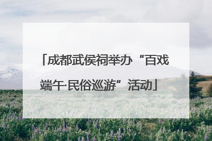 成都武侯祠举办“百戏端午·民俗巡游”活动