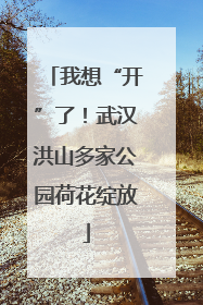 我想“开”了！武汉洪山多家公园荷花绽放