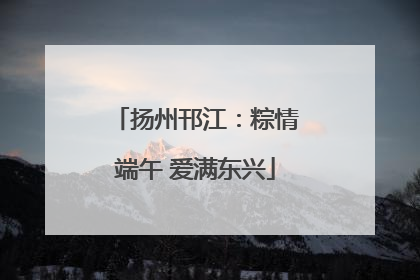 扬州邗江：粽情端午 爱满东兴