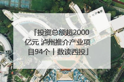 投资总额超2000亿元 泸州推介产业项目94个丨数读西投