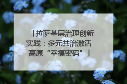 拉萨基层治理创新实践：多元共治激活高原“幸福密码”